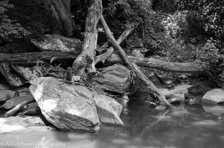 Rock Creek_4