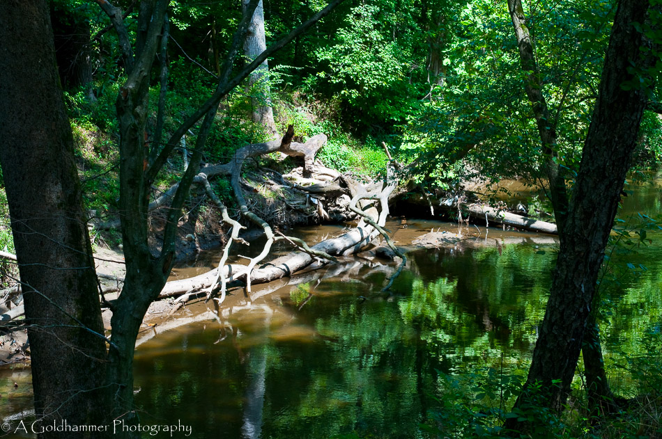 Rock Creek_2