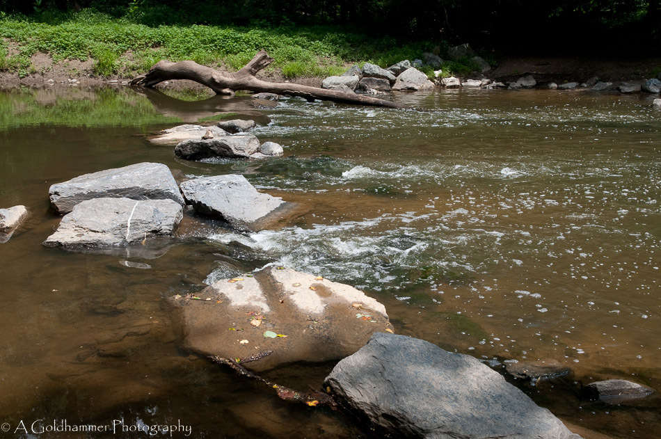 Rock Creek_1